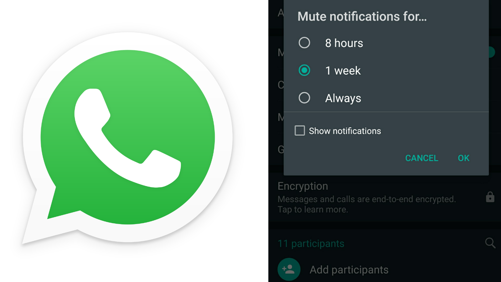 WhatsApp-chat-Muted-forever-Instead-of-1 Year