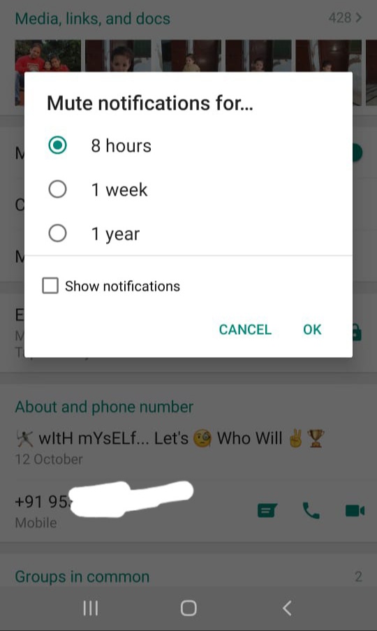 Whatsapp-Chat-mute-update