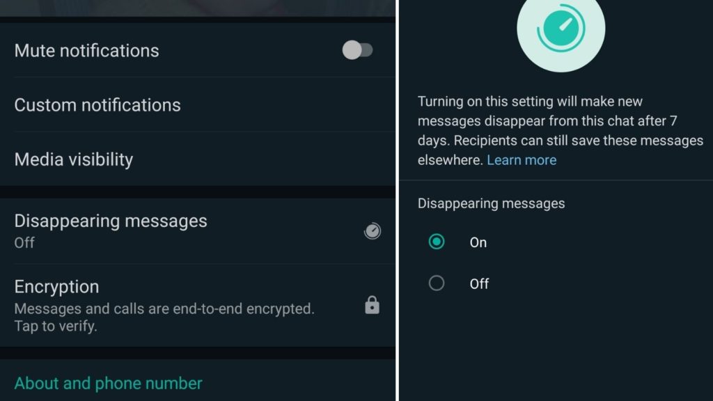 Whatsapp-Disappearing-Message