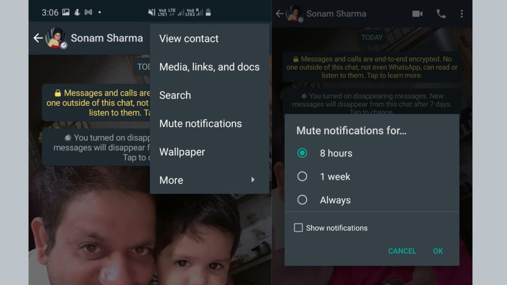 WhatsApp-Mute-Notification